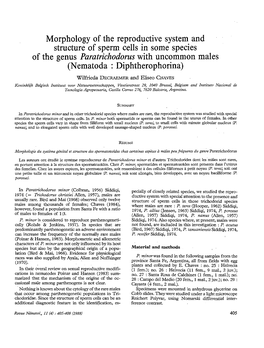 Morphology of the Reproductive System and Structure of Sperm Cells in Some Species of the Genus Paratrichodorus with Uncommon Ma