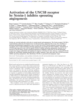 Activation of the UNC5B Receptor by Netrin-1 Inhibits Sprouting Angiogenesis