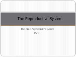 The Reproductive System