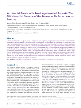 The Mitochondrial Genome of the Stramenopile Proteromonas Lacertae