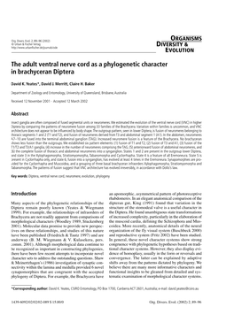 The Adult Ventral Nerve Cord As a Phylogenetic Character in Brachyceran Diptera