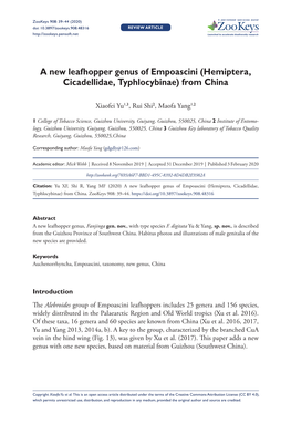 Hemiptera, Cicadellidae, Typhlocybinae) from China