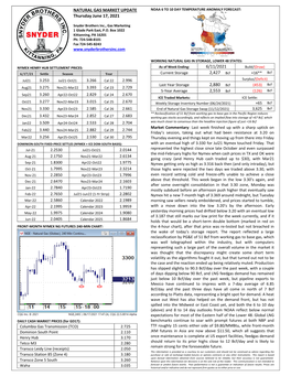 Snyder Bros NG Mkt Update 06