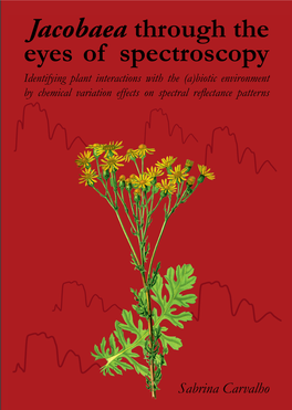 Jacobaea Through the Eyes of Spectroscopy