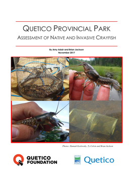 Quetico Provincial Park Assessment of Native and Invasive Crayfish