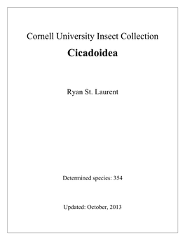 Cicadoidea October 2013