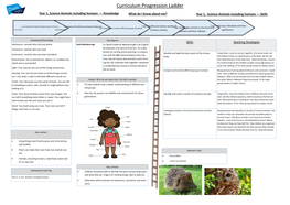 Curriculum Progression Ladder