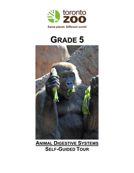 Animal Digestive Systems Self-Guided Tour