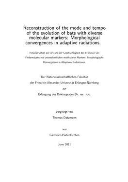 Reconstruction of the Mode and Tempo of the Evolution of Bats with Diverse Molecular Markers: Morphological Convergences in Adaptive Radiations