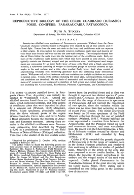 Reproductive Biology of the Cerro Cuadrado (Jurassic) Fossil Conifers: Pararaucaria Patagonica