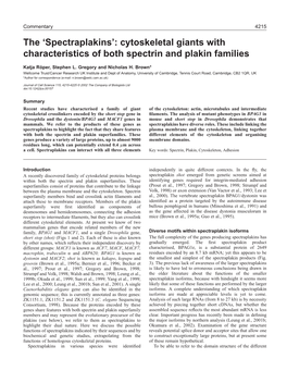 Cytoskeletal Giants with Characteristics of Both Spectrin and Plakin Families