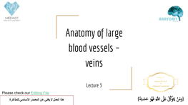 Anatomy of Large Blood Vessels – Veins