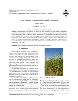 Sweet Sorghum: an Alternative Feedstock for Bioethanol