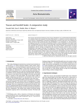 Toucan and Hornbill Beaks: a Comparative Study