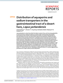 Distribution of Aquaporins and Sodium Transporters in the Gastrointestinal