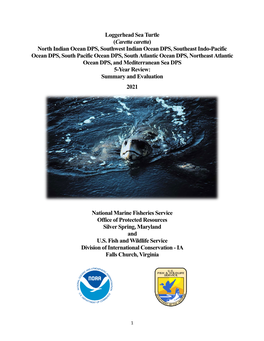 5-YEAR REVIEW of Foreign Loggerhead Dpss