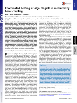 Coordinated Beating of Algal Flagella Is Mediated by Basal Coupling