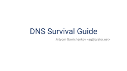 DNS Survival Guide