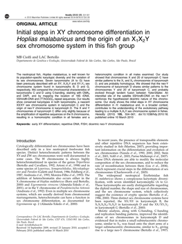 Initial Steps in XY Chromosome Differentiation in Hoplias Malabaricus and the Origin of an X1X2Y Sex Chromosome System in This ﬁsh Group