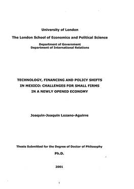 Technology, Financing and Policy Shifts in Mexico: Challenges for Small Firms in a Newly Opened Economy