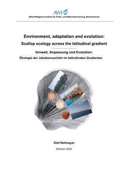 Environment, Adaptation and Evolution: Scallop Ecology Across the Latitudinal Gradient