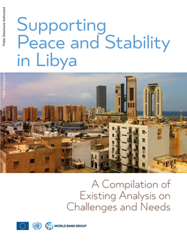 Supporting Peace and Stability in Libya