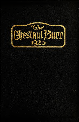 Chestnut Burr, 1923