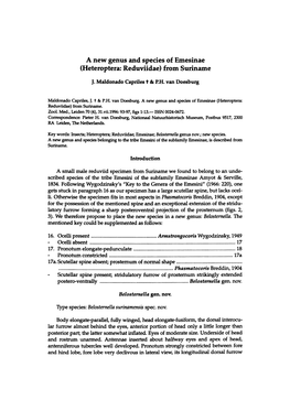 A New Genus and Species of Emesinae (Heteroptera: Reduviidae) from Suriname