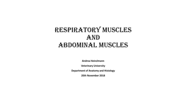 Respiratory Muscles and Abdominal Muscles