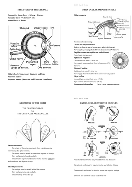 STRUCTURE of the EYEBALL Connective Tissue Layer = Sclera +