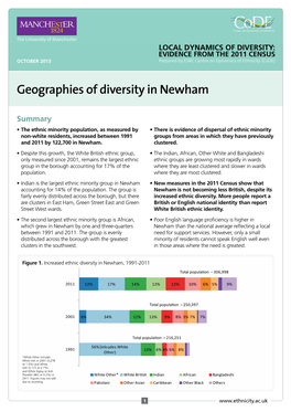 Geographies of Diversity in Newham