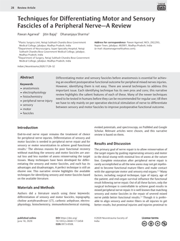 Techniques for Differentiating Motor and Sensory Fascicles of a Peripheral Nerve—A Review