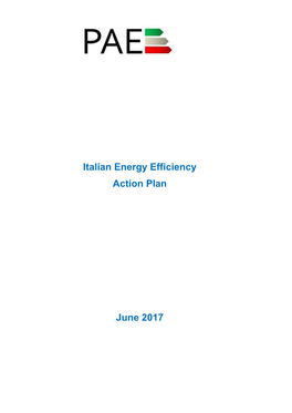 Italian Energy Efficiency Action Plan June 2017