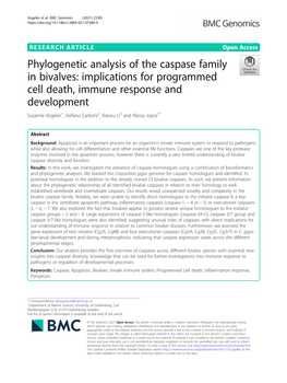 Phylogenetic Analysis of the Caspase Family in Bivalves: Implications For