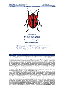 Orden Hemiptera: Suborden Heteroptera