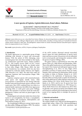 A New Species of Lepiota, Lepiota Lahorensis, from Lahore, Pakistan