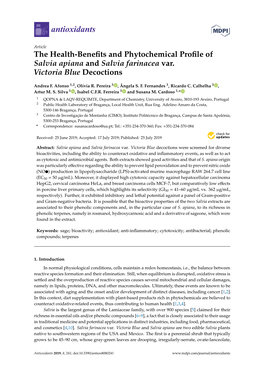 The Health-Benefits and Phytochemical Profile of Salvia Apiana and Salvia Farinacea Var. Victoria Blue Decoctions