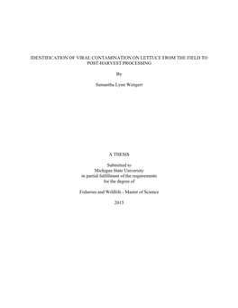 Identification of Viral Contamination on Lettuce from the Field to Post-Harvest Processing