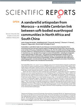 A Middle Cambrian Link Between Soft-Bodied