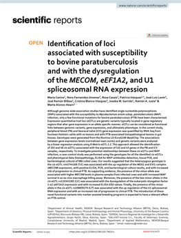 Identification of Loci Associated with Susceptibility to Bovine Paratuberculosis and with the Dysregulation of the MECOM, Eef1a2