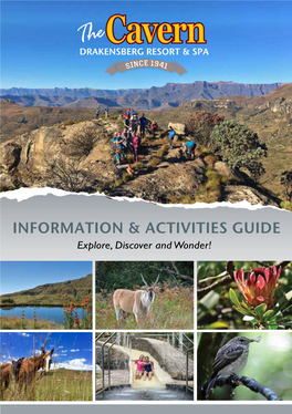 The Cavern Information & Activities Guide