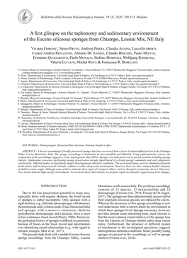 A First Glimpse on the Taphonomy and Sedimentary Environment of the Eocene Siliceous Sponges from Chiampo, Lessini Mts, NE Italy