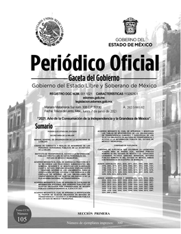 Manual General De Organización De La Secretaría De Acceso a La Información Pública Del Estado De La Mujer