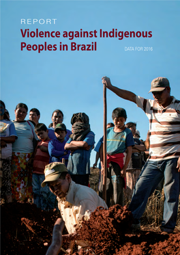 Violence Against Indigenous Peoples in Brazil DATA for 2016