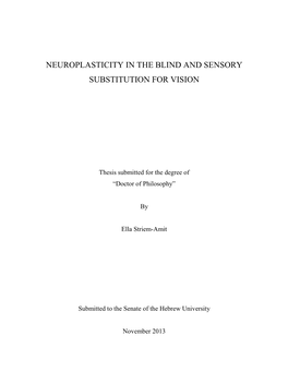 Neuroplasticity in the Blind and Sensory Substitution for Vision