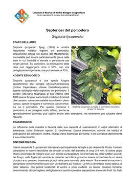 Septoriosi Del Pomodoro Septoria Lycopersici