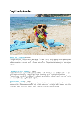 Dog Friendly Beaches