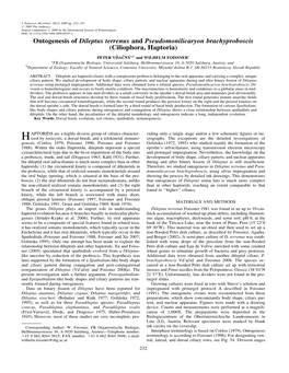 Ontogenesis of Dileptus Terrenus and Pseudomonilicaryon Brachyproboscis (Ciliophora, Haptoria)