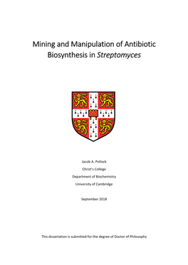 Mining and Manipulation of Antibiotic Biosynthesis in Streptomyces Jacob A
