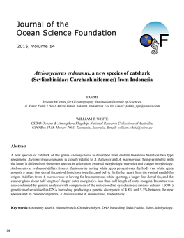 Atelomycterus Erdmanni, a New Species of Catshark (Scyliorhinidae: Carcharhiniformes) from Indonesia